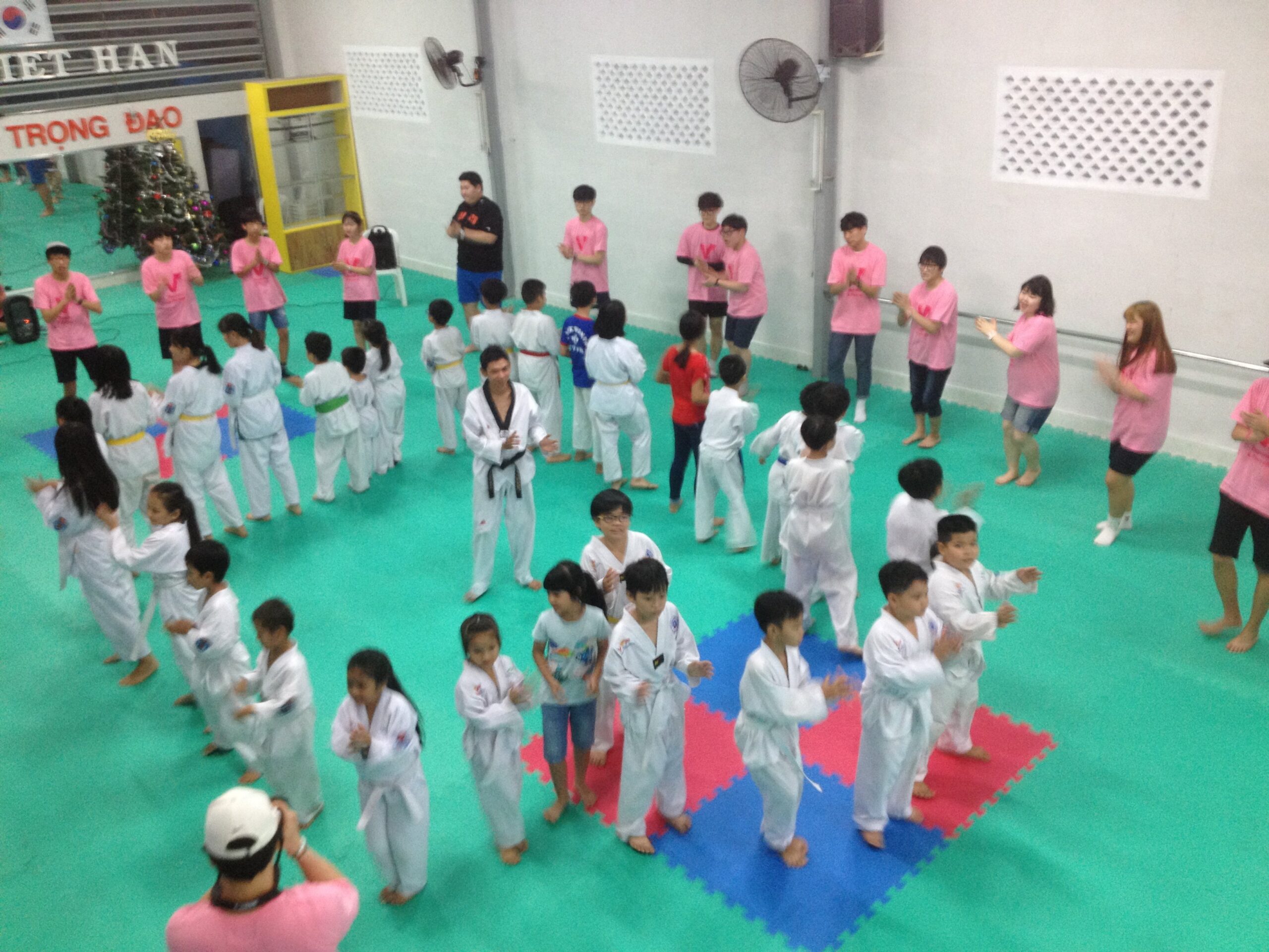 Taekwondo Việt Hàn