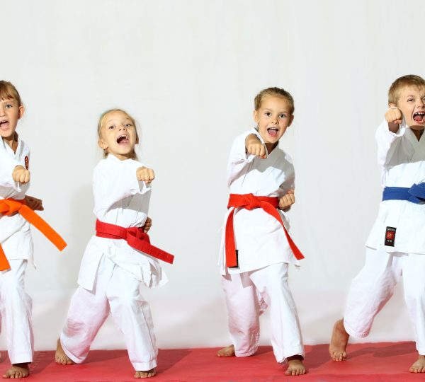Ở độ tuổi 12-15 là khoảng thời gian tốt nhất để học võ