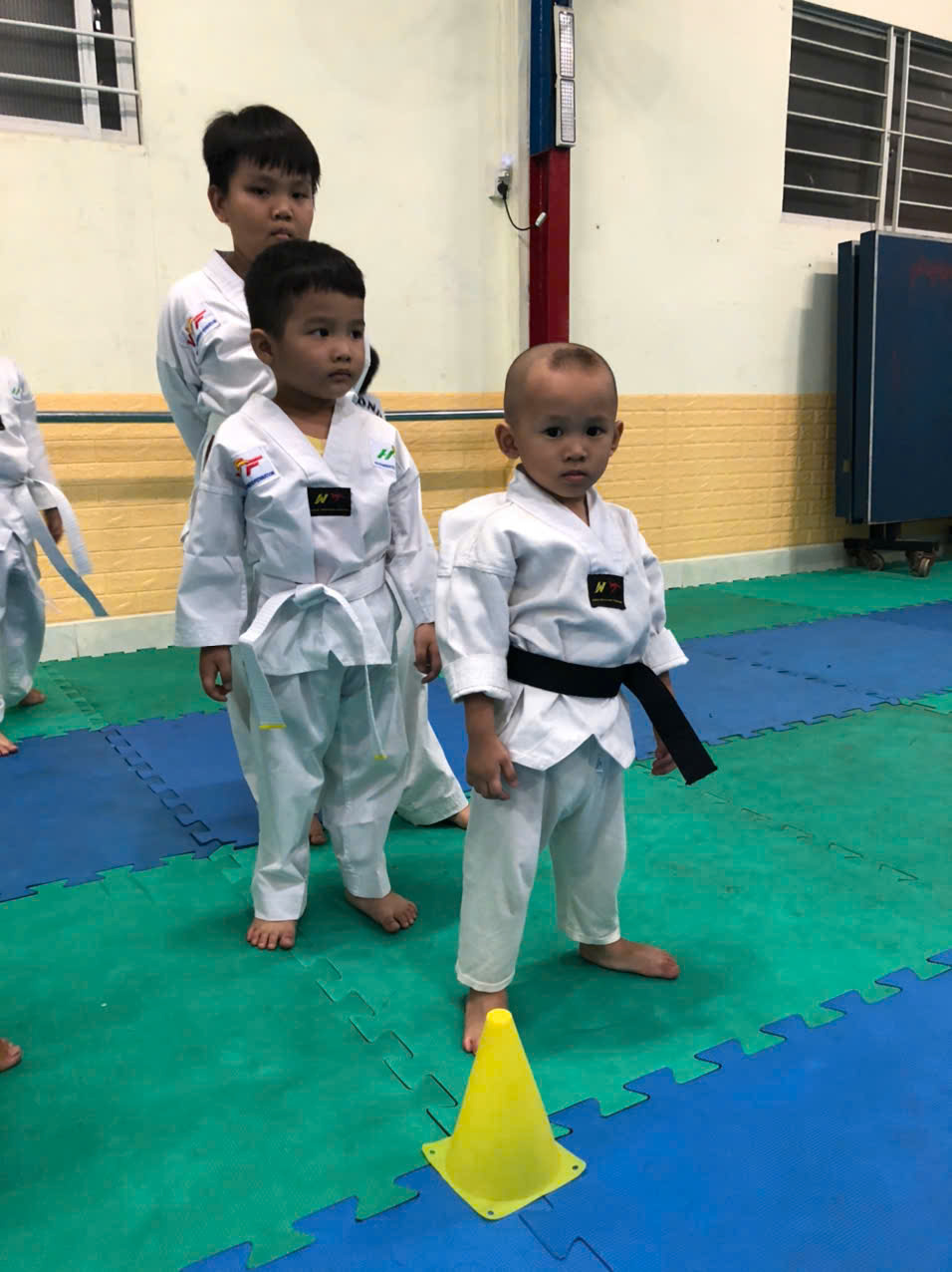 Taekwondo Việt Hàn - Bình Thạnh
