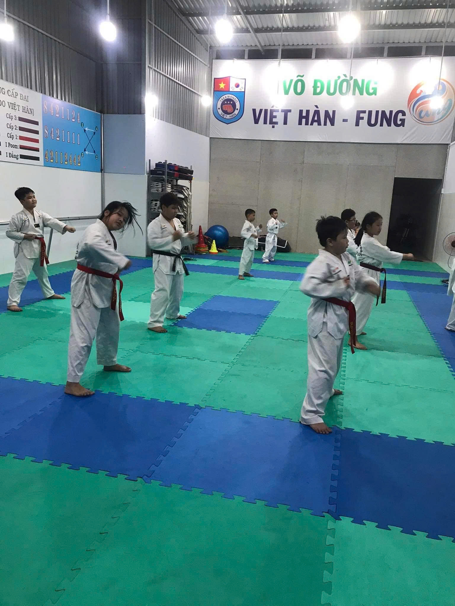 Taekwondo Việt Hàn - Fung